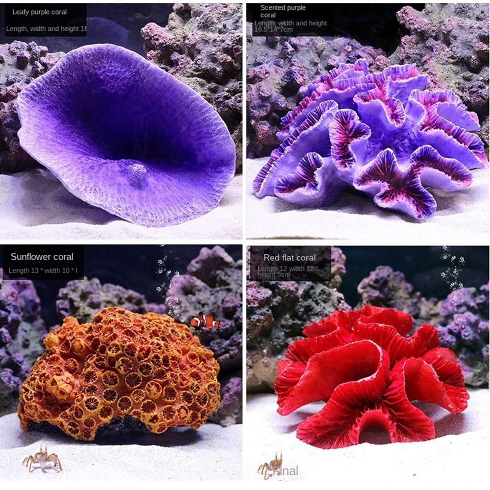 الراتنج المرجان الاصطناعي نموذ - مراجعة Marine Coral وسعره