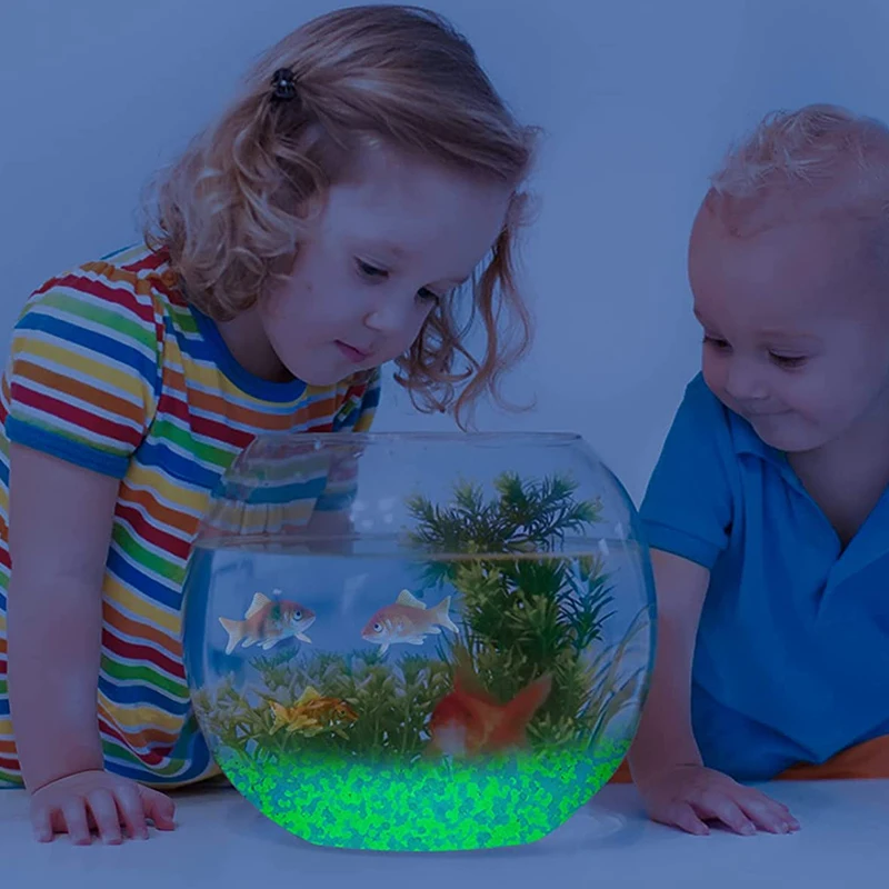 حصى رمال مضيئة في الظلام ، من  - مراجعة Ocean Aquarium وسعره
