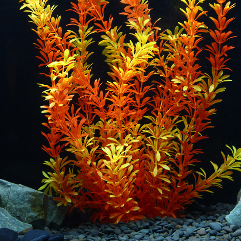 نباتات استوائية اصطناعية بطول  - مراجعة Marine Aquarium وسعره
