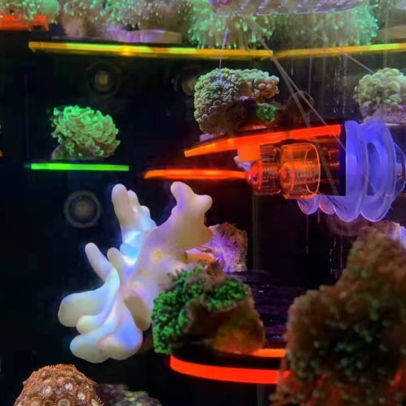 حامل أكريليك فلورسنت لنمو المر - مراجعة Marine Coral وسعره