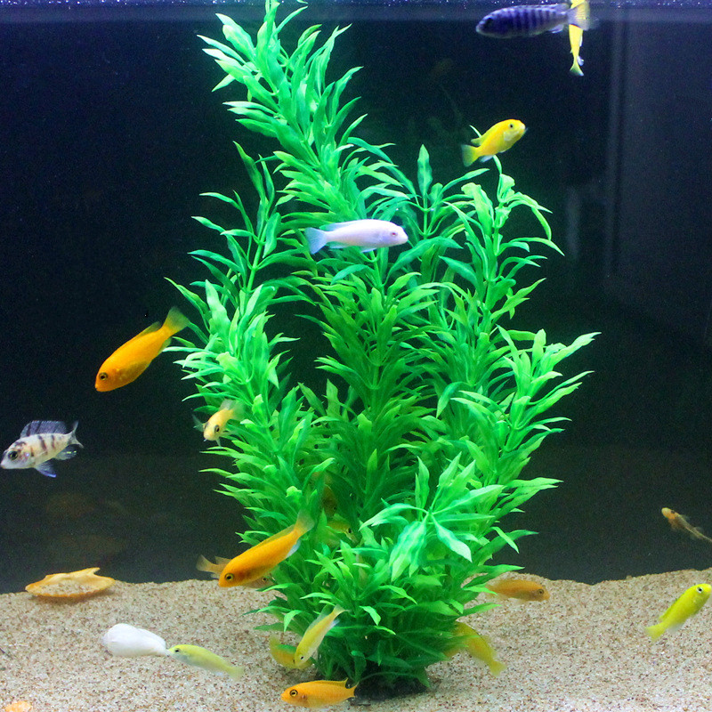 نباتات اصطناعية نادرة لأحواض ا - مراجعة Ocean Aquarium وسعره