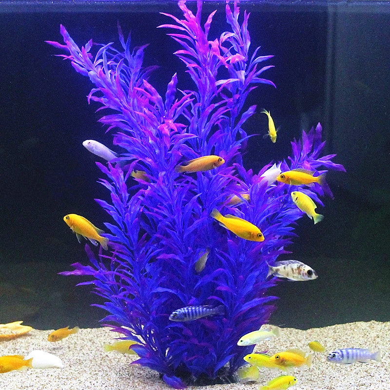نباتات اصطناعية نادرة لأحواض ا - مراجعة Ocean Aquarium وسعره