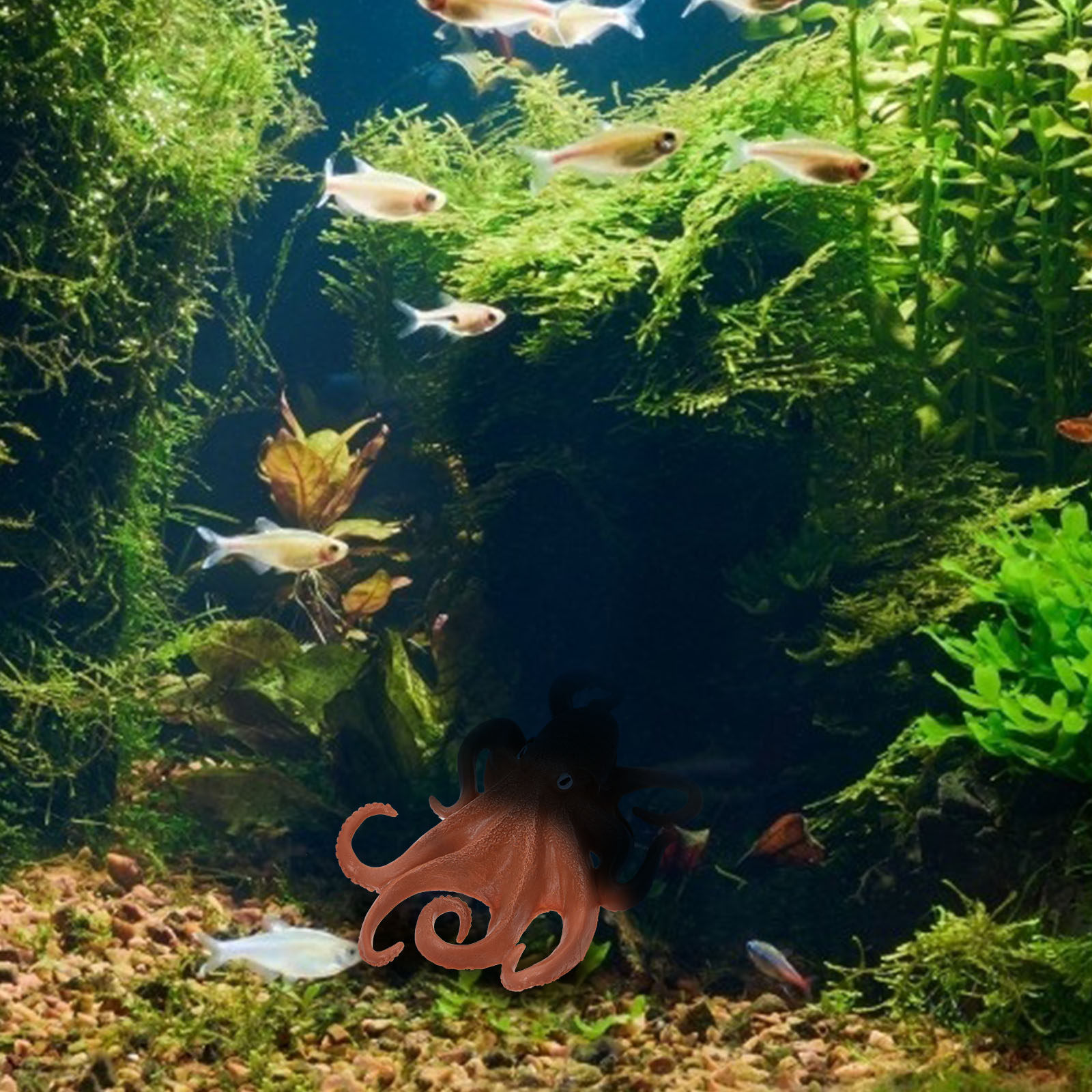 مجسم أخطبوط واقعي من البلاستيك - مراجعة Marine Aquarium وسعره